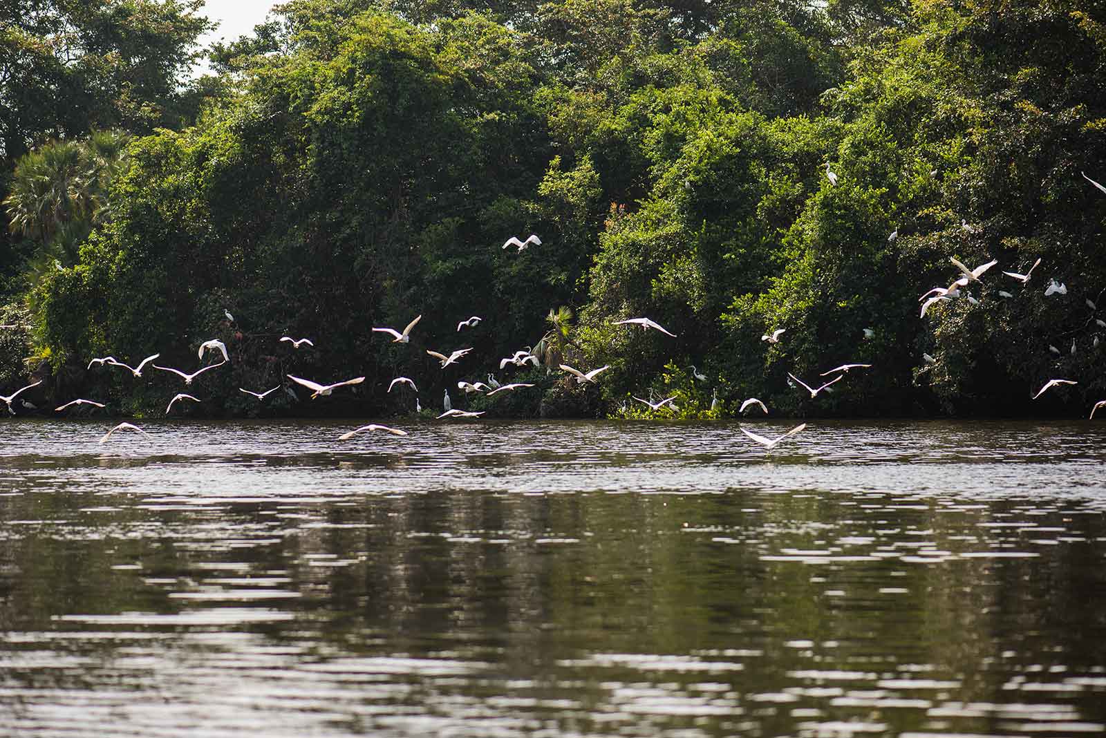 new-river-orange-walk-belize