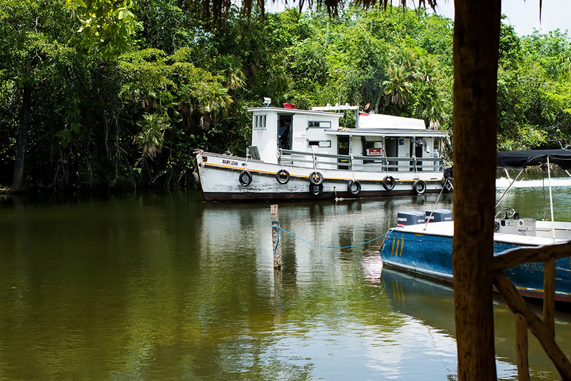 Tug boat and barge exporting sugar on the new river orange walk belize