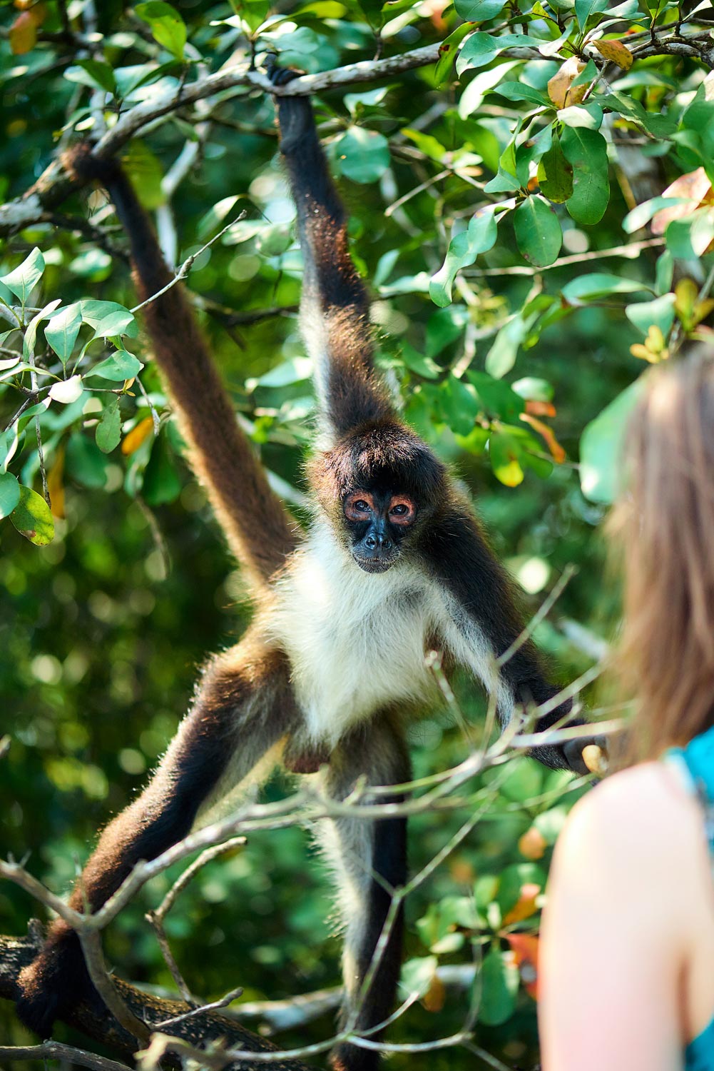 lamanai mayan ruin tour belize 03